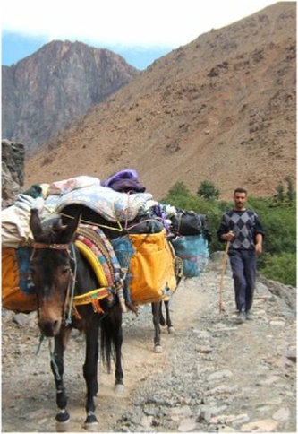 trekking-chefchaouen-sahara,Rif mountains hiking,Chefchaouen day trips